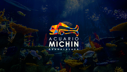 Acuario Michin